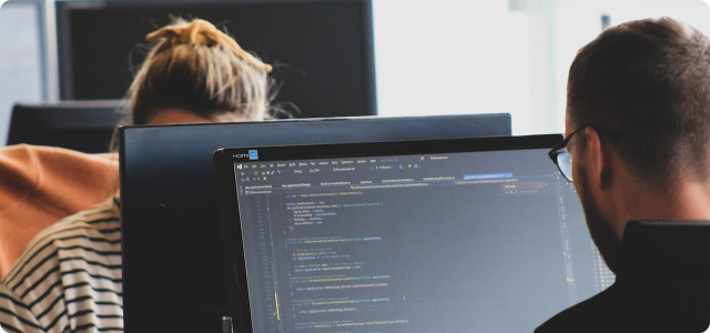 IT Staffing Services / IT Personal